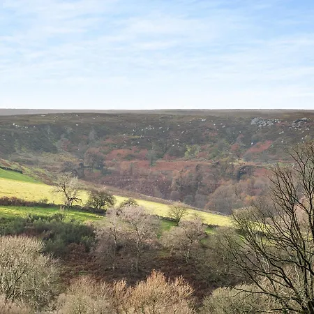 Little Esklets - Uk45252 * Westerdale