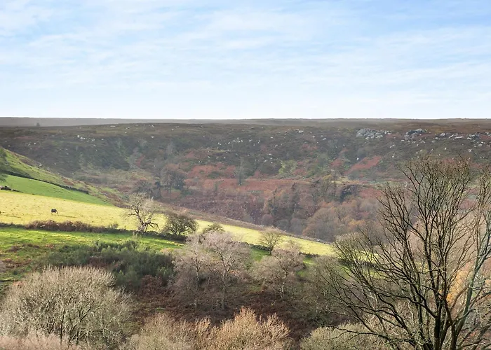 Little Esklets - Uk45252 * Westerdale